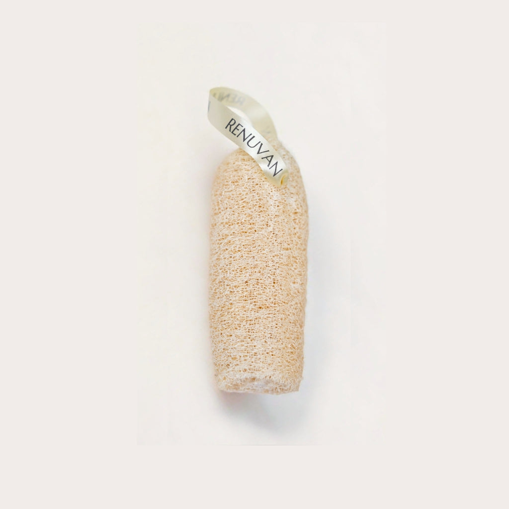 Renuvan Natural Loofah - Pack of 1 | 100% Organic Exfoliating Body Sponge for Smooth, Glowing Skin