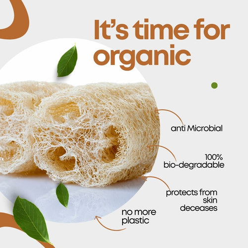 Renuvan Natural Loofah - Pack of 1 | 100% Organic Exfoliating Body Sponge for Smooth, Glowing Skin