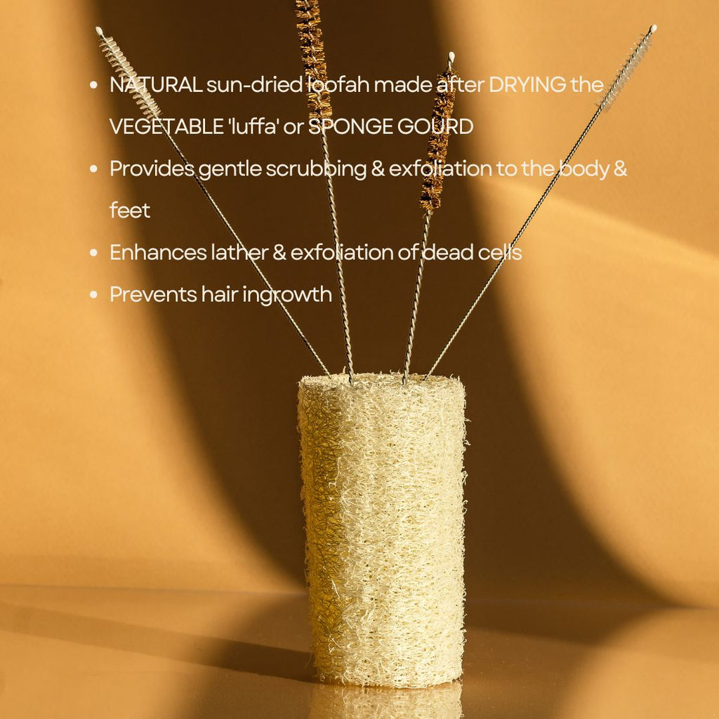 Renuvan Natural Loofah - Pack of 3 | 100% Organic Exfoliating Body Sponge for Smooth, Glowing Skin